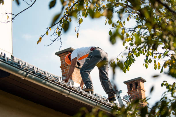 Best Flat Roof Repair Services  in Aust, IN