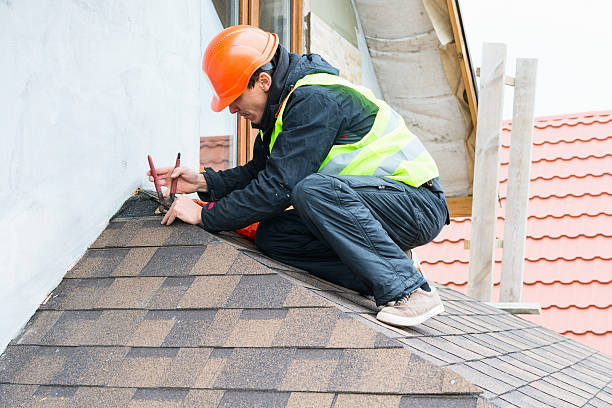 Best Roof Repair Services  in Aust, IN